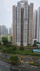 Blk 633C Senja Green (Bukit Panjang), HDB 4 Rooms #570005341